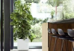 Elho Vivo Matt Finish Vierkant Wielen 40 - Grote Plantenbak Voor Binnen & Buiten - Gemaakt Van Gereycled Plastic - L 39 X W 39 X H 41 Cm - Wit 10 Elho Vivo Matt Finish Vierkant Wielen 40 - Grote Plantenbak Voor Binnen & Buiten - Gemaakt Van Gereycled Plastic - L 39 X W 39 X H 41 Cm - Wit -Tuingereedschaps Winkel 1200x832 1