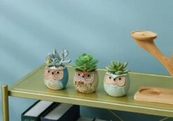 Luxe Bamboe Houten Boom Met 3 Keramiek Uil Bloempotten/Plantenpotten Op Standaard/Voet Voor Binnen En Buiten - Modern Design Bloempot/Plantenpot Op Poten/Pootjes-Plantenbak Mini Cactus Nep Plant Pot Houder - Kleine Bloembakken Plantenrek/Plantenkurk -Tuingereedschaps Winkel 1200x840