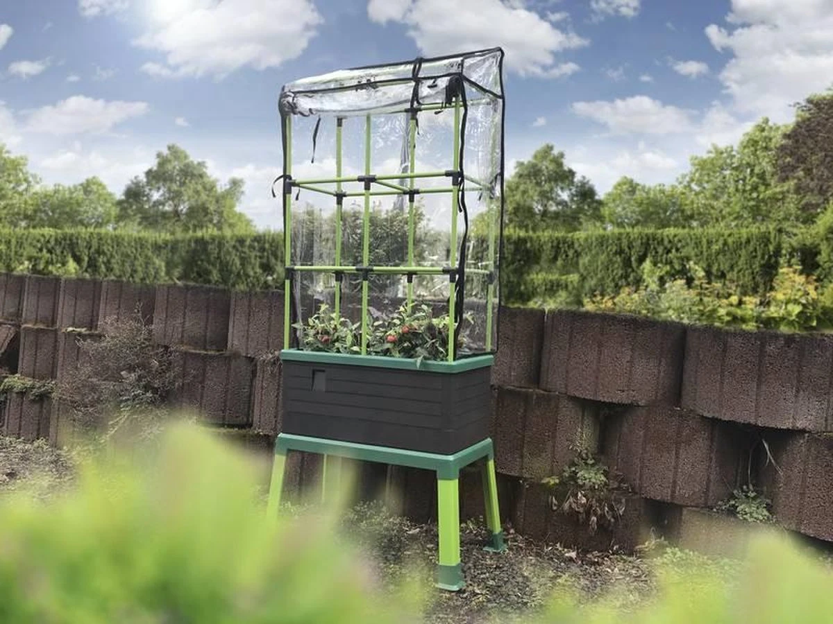 Bio Green Dekking Voor CityJungle 3 Bio Green Dekking Voor CityJungle - Afbeelding 3