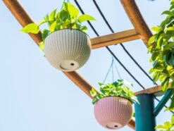 Tuingereedschaps Winkel 7 Tuingereedschaps Winkel -Tuingereedschaps Winkel 1200x904 3