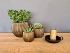 Capi Europe - Set Van 3 - Bloempot Binnen - Groove - - Goud - Bloempot Voor Binnen - BOX-BGVGB-3 -Tuingereedschaps Winkel 1200x912