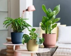 Elho Vibes Fold Rond Wielen 35 - Bloempot Voor Binnen - Ø 34.9 X H 32.4 Cm - Diepblauw -Tuingereedschaps Winkel 1200x956 1