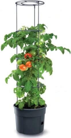 TOMATENPOT VOOR HET KWEKEN VAN TOMATEN PROSPERPLAST 28L -Tuingereedschaps Winkel 621x1200 3