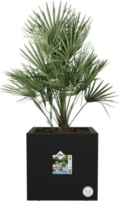 Elho Vivo Next Vierkant 40 - Plantenbak Voor Binnen & Buiten - Ø 39.0 X H 37.9 Cm - Zwart/Living Black -Tuingereedschaps Winkel 720x1200 1