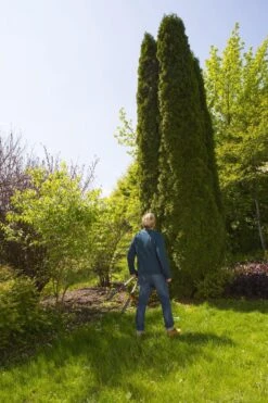 GARDENA TeleCut Heggenschaar - Telescopische Handgrepen Van 70-90 Cm 16 GARDENA TeleCut Heggenschaar - Telescopische Handgrepen Van 70-90 Cm -Tuingereedschaps Winkel 799x1200 4