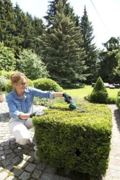 Bosch ISIO Gen III Accu Buxusschaar + Grasschaar -Tuingereedschaps Winkel 800x1200 10