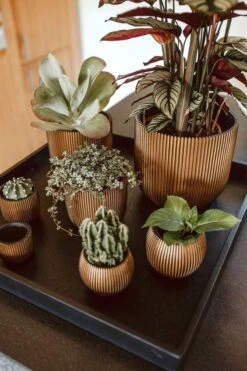 Capi Europe - Bloempot Bol Groove - 23x21 - Goud - Bloempot Voor Binnen - BGVGB134 -Tuingereedschaps Winkel 800x1200 48