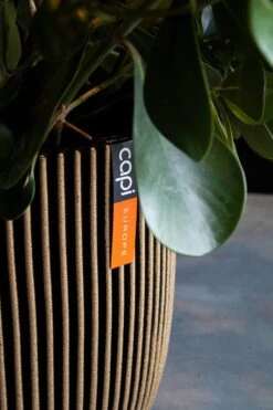 Capi Europe - Bloempot Bol Groove NL - 35x34 - Goud - Voor Binnen En Buiten - KGVGB932 -Tuingereedschaps Winkel 800x1200 50