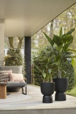 Elho Pure Coupe 41 - Bloempot Voor Binnen & Buiten - Ø 41.3 X H 57.9 Cm - Zwart/Zwart -Tuingereedschaps Winkel 800x1200 52