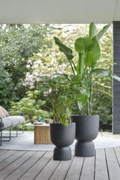 Elho Pure Coupe 41 - Bloempot Voor Binnen & Buiten - Ø 41.3 X H 57.9 Cm - Zwart/Zwart -Tuingereedschaps Winkel 800x1200 53