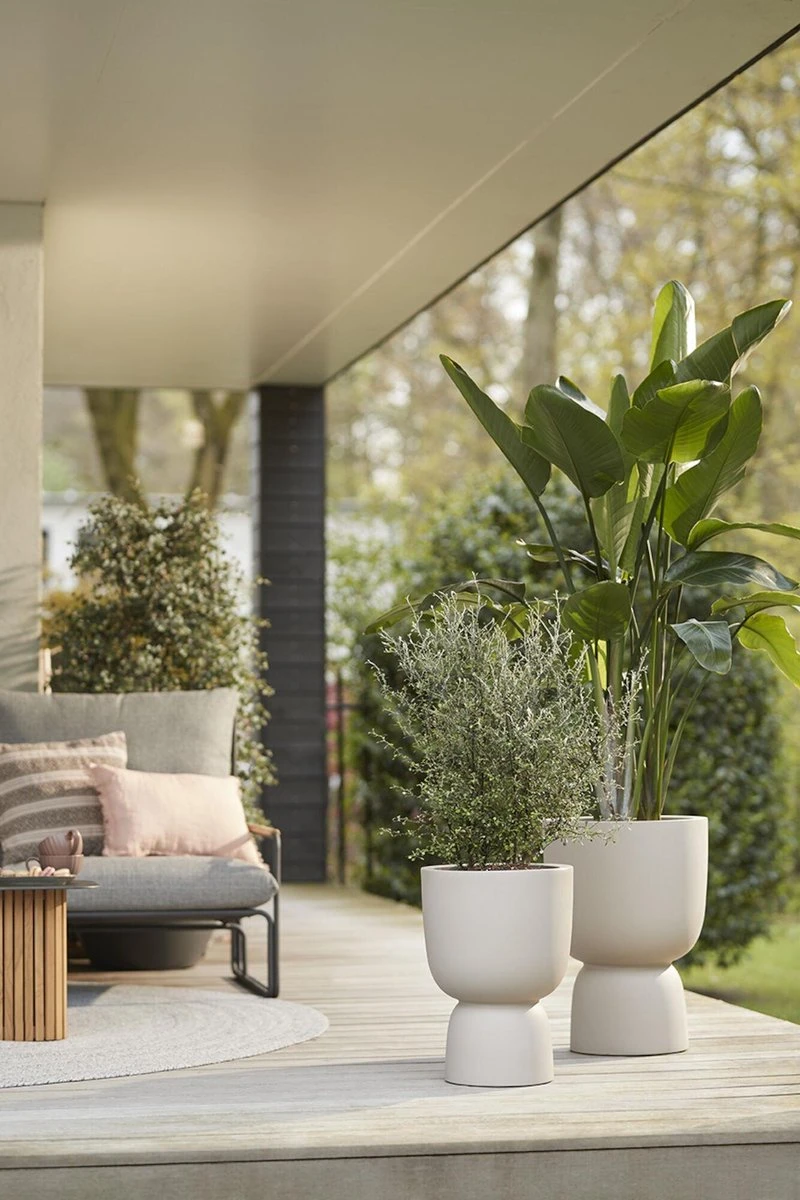 Elho Pure Coupe 35 - Bloempot Voor Binnen & Buiten - Ø 34.9 X H 49.0 Cm - Beige/Balanced Beige 3 Elho Pure Coupe 35 - Bloempot Voor Binnen & Buiten - Ø 34.9 X H 49.0 Cm - Beige/Balanced Beige - Afbeelding 3