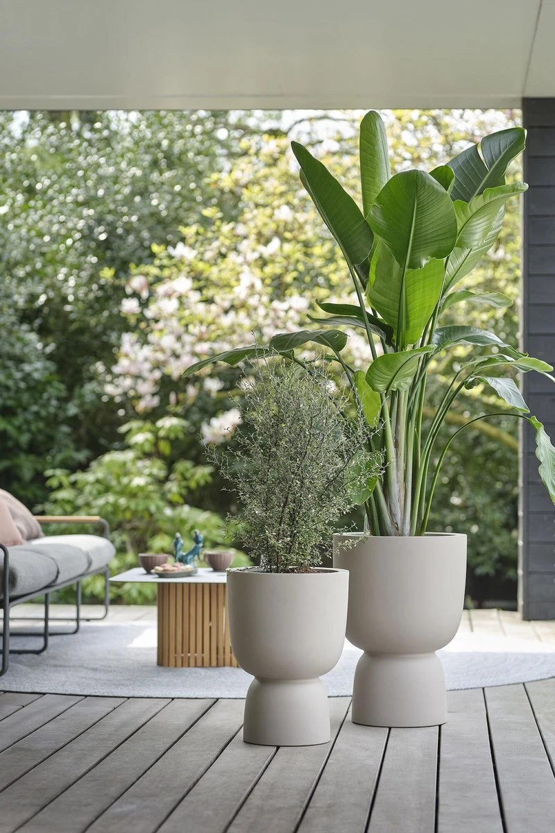 Elho Pure Coupe 35 - Bloempot Voor Binnen & Buiten - Ø 34.9 X H 49.0 Cm - Beige/Balanced Beige 4 Elho Pure Coupe 35 - Bloempot Voor Binnen & Buiten - Ø 34.9 X H 49.0 Cm - Beige/Balanced Beige - Afbeelding 4