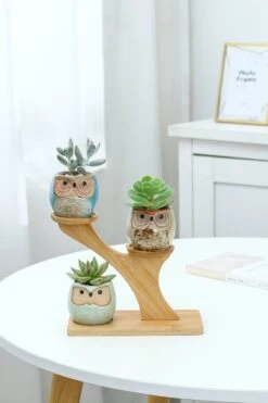 Luxe Bamboe Houten Boom Met 3 Keramiek Uil Bloempotten/Plantenpotten Op Standaard/Voet Voor Binnen En Buiten - Modern Design Bloempot/Plantenpot Op Poten/Pootjes-Plantenbak Mini Cactus Nep Plant Pot Houder - Kleine Bloembakken Plantenrek/Plantenkurk -Tuingereedschaps Winkel 800x1200 60