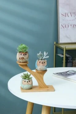 Luxe Bamboe Houten Boom Met 3 Keramiek Uil Bloempotten/Plantenpotten Op Standaard/Voet Voor Binnen En Buiten - Modern Design Bloempot/Plantenpot Op Poten/Pootjes-Plantenbak Mini Cactus Nep Plant Pot Houder - Kleine Bloembakken Plantenrek/Plantenkurk -Tuingereedschaps Winkel 800x1200 61