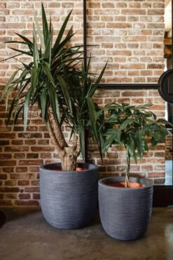 Capi Europe - Bloempot Bol Rib NL - 43x41 - Antraciet - Voor Binnen En Buiten - KOFZ933 17 Capi Europe - Bloempot Bol Rib NL - 43x41 - Antraciet - Voor Binnen En Buiten - KOFZ933 -Tuingereedschaps Winkel 800x1200 64