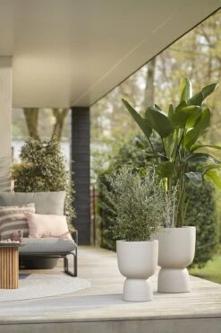 Elho Pure Coupe 41 - Bloempot Voor Binnen & Buiten - Ø 41.3 X H 57.9 Cm - Beige/Balanced Beige -Tuingereedschaps Winkel 800x1200 67