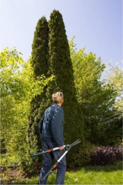 GARDENA TeleCut Heggenschaar - Telescopische Handgrepen Van 70-90 Cm 17 GARDENA TeleCut Heggenschaar - Telescopische Handgrepen Van 70-90 Cm -Tuingereedschaps Winkel 801x1200