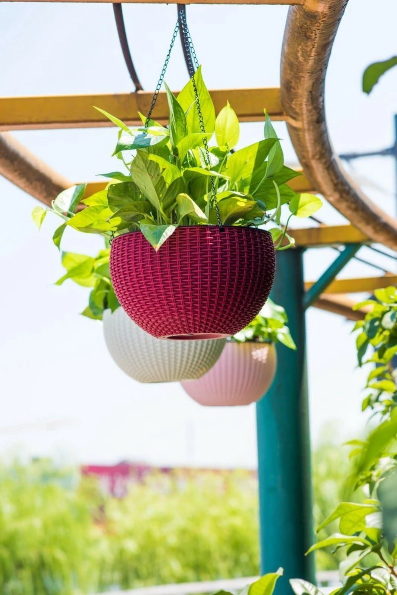 Hangpot Kunststof – Bloempot Hangend – Binnen & Buiten- Plantenhanger –Incl. Afvoerstop – 26 Cm - Zwart 3 Hangpot Kunststof – Bloempot Hangend – Binnen & Buiten- Plantenhanger –Incl. Afvoerstop – 26 Cm - Zwart - Afbeelding 3