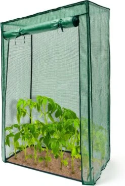 Relaxdays Tomatenkas 150x100x50 Cm - Tuinkas Tomaten - Foliekas - Serre - Kweekkas - PVC 33 Relaxdays Tomatenkas 150x100x50 Cm - Tuinkas Tomaten - Foliekas - Serre - Kweekkas - PVC -Tuingereedschaps Winkel 808x1200 2