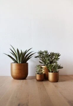 Capi Europe - Set Van 4 - Bloempot Binnen - Retro - - Goud - Bloempot Voor Binnen - BOX-BRTG-4 -Tuingereedschaps Winkel 829x1200