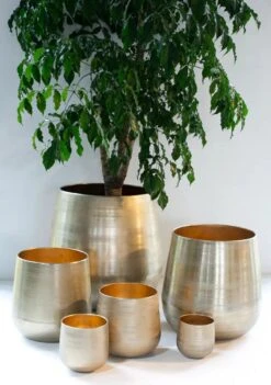 Merkloos Karakter Pot Alu Neo Gold ø40x40cm 6 Merkloos Karakter Pot Alu Neo Gold ø40x40cm -Tuingereedschaps Winkel 844x1200