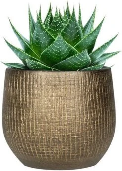 Set Van 2x Stuks Plantenpotten/bloempotten In Een Strakke Modern Design Look Metal Goud Dia 22 Cm En Hoogte 20 Cm -Tuingereedschaps Winkel 853x1200 1