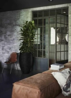 Capi Europe - Vaas Elegant Deluxe Rib NL - 56x84 - Zwart - Voor Binnen En Buiten - KBLR1132 12 Capi Europe - Vaas Elegant Deluxe Rib NL - 56x84 - Zwart - Voor Binnen En Buiten - KBLR1132 -Tuingereedschaps Winkel 873x1200