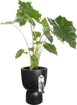 Elho Pure Coupe 41 - Bloempot Voor Binnen & Buiten - Ø 41.3 X H 57.9 Cm - Zwart/Zwart -Tuingereedschaps Winkel 877x1200