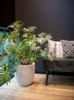 Capi Europe - Vaas Elegant Laag Groove NL - 46x58 - Goud - Voor Binnen En Buiten - KGVGB783 -Tuingereedschaps Winkel 883x1200 3