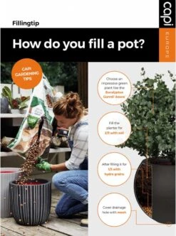 Capi Europe - Bloempot Vierkant Smooth NL - 50x50x50 - Zwart - Voor Binnen En Buiten - KBL904 -Tuingereedschaps Winkel 892x1200 1