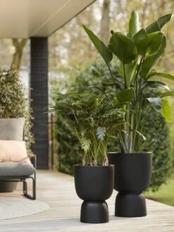 Elho Pure Coupe 41 - Bloempot Voor Binnen & Buiten - Ø 41.3 X H 57.9 Cm - Zwart/Zwart -Tuingereedschaps Winkel 900x1200 11