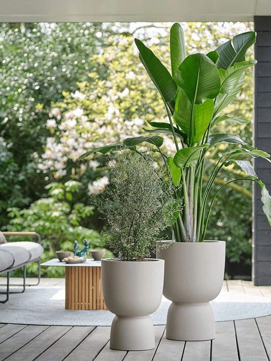 Elho Pure Coupe 35 - Bloempot Voor Binnen & Buiten - Ø 34.9 X H 49.0 Cm - Beige/Balanced Beige 10 Elho Pure Coupe 35 - Bloempot Voor Binnen & Buiten - Ø 34.9 X H 49.0 Cm - Beige/Balanced Beige - Afbeelding 10