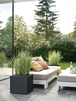 Elho Vivo Next Vierkant 40 - Plantenbak Voor Binnen & Buiten - Ø 39.0 X H 37.9 Cm - Zwart/Living Black -Tuingereedschaps Winkel 900x1200 6