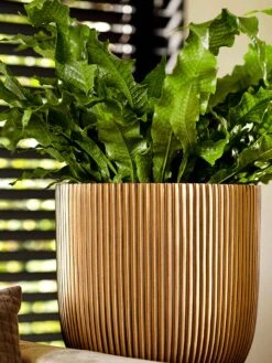 Capi Europe - Bloempot Bol Groove - 23x21 - Goud - Bloempot Voor Binnen - BGVGB134 -Tuingereedschaps Winkel 900x1200 9