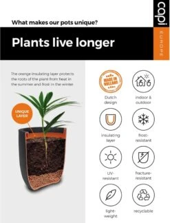 Capi Europe - Bloempot Vierkant Smooth NL - 50x50x50 - Zwart - Voor Binnen En Buiten - KBL904 -Tuingereedschaps Winkel 916x1200 2