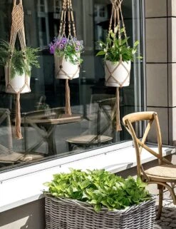 4 Stuks Luxe Jute Plantenhangers - Boho Handgeweven Katoen Hangpot Voor Binnen/Buiten - Hangende Bloempot Met Kralen - Macramé Touw/Koord Hangplant Houder - Bohemian Wandhanger Decoratie - Plant Hanger - Verticale Tuin Bloempothouder Planthanger -Tuingereedschaps Winkel 923x1200 2