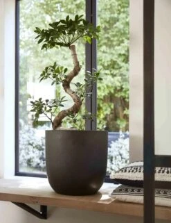 Capi Europe - Bloempot Bol Smooth NL - 35x34 - Zwart - Voor Binnen En Buiten - KBL932 17 Capi Europe - Bloempot Bol Smooth NL - 35x34 - Zwart - Voor Binnen En Buiten - KBL932 -Tuingereedschaps Winkel 923x1200